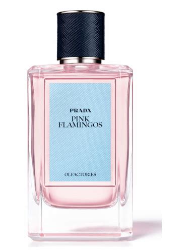 prada pink flamingo|Pink Flamingos Prada for women and men.